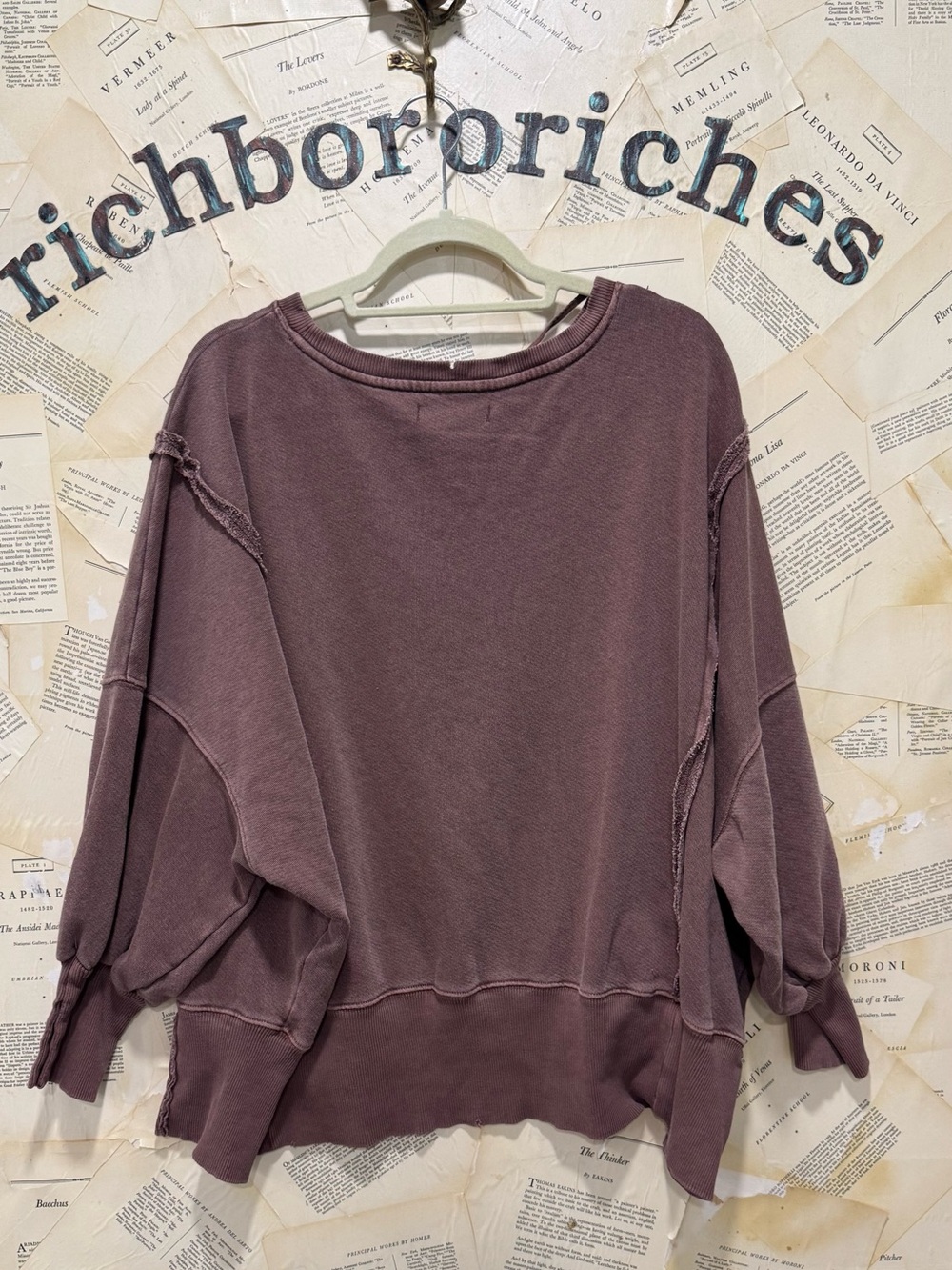 Free People Graphic Camden Pullover Sweatshirt We The Free Slouchy Dandelion - Picture 4 of 5